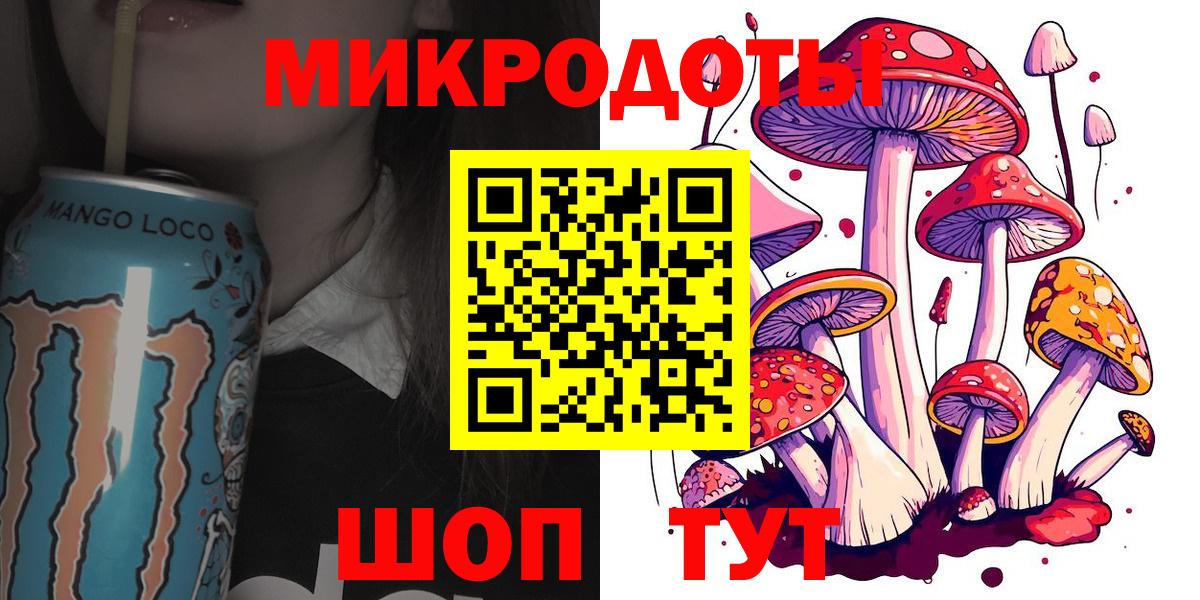 Псилоцибиновые грибы Psilocybe Богородицк