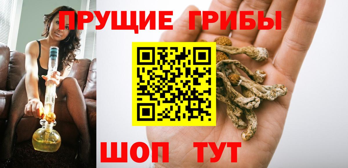 наркошоп  Вход с VPN  Богородицк  Галлюциногенные грибы мицелий 